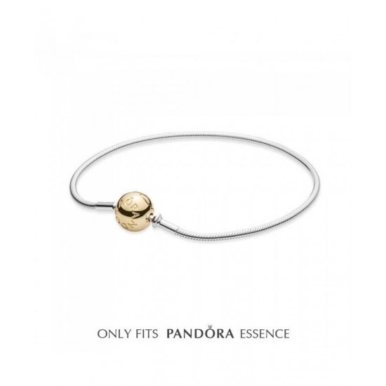 Pandora Bracelet-Essence Two Tone